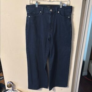 Banana Republic wide leg crop